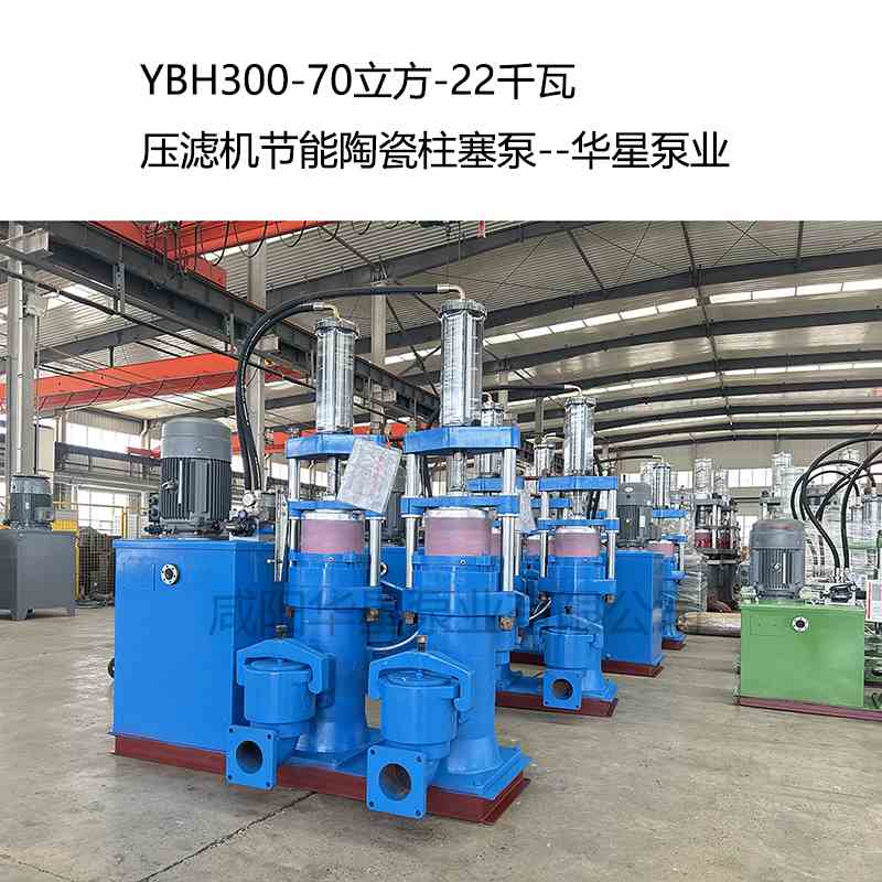 華星泵業(yè)經(jīng)典藍(lán)色立式柱塞泵發(fā)布